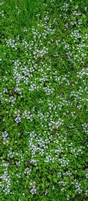 Вкладка - Цв003