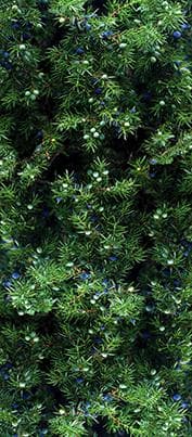 Вкладка - Цв004