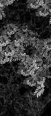 Вкладка - Цв026