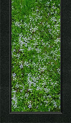 Накладка - Цв003