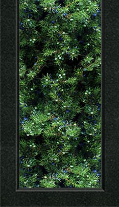 Накладка - Цв004