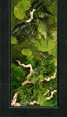 Накладка - Цв028